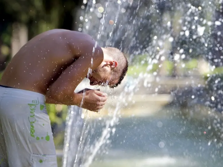 Fuente: Imagen de archivo