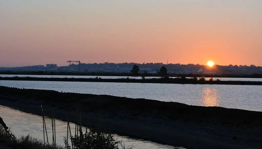 Amanece durante la captura