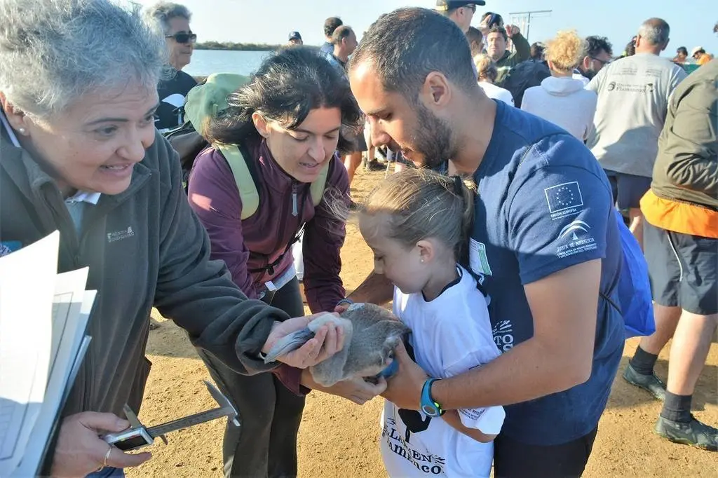 Los 'exploradores' del Centro de Visitantes Marismas del Odiel tambi&eacute;n participaron