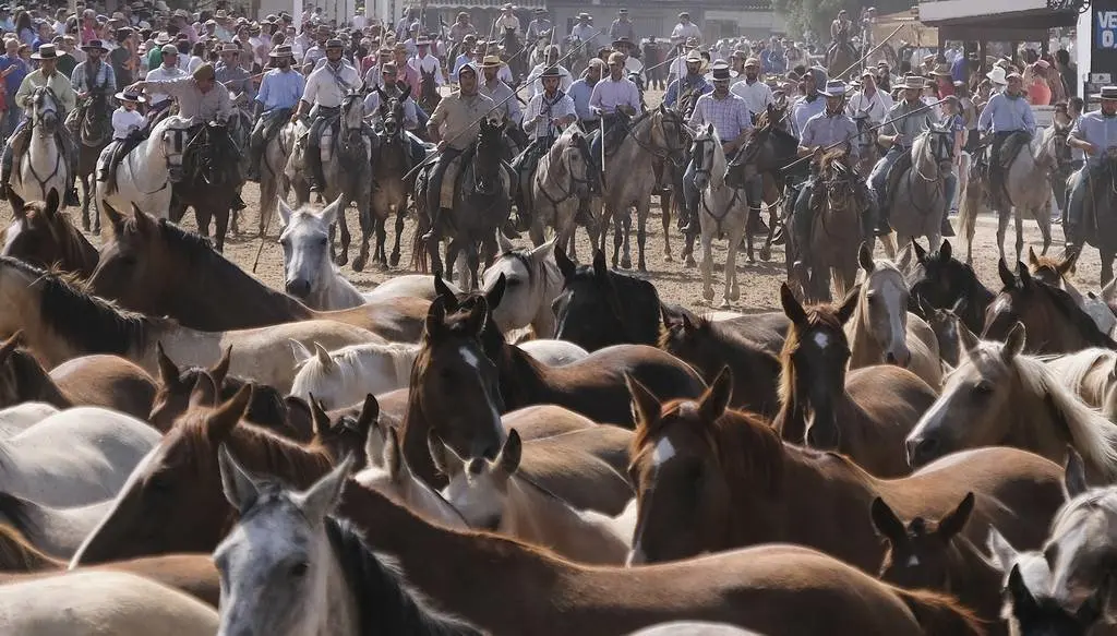 Cientos de equinos participan en la Saca de las Yeguas