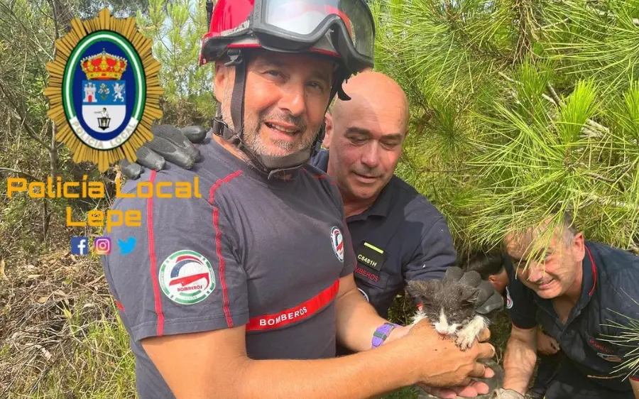 Momento del rescate del peque&ntilde;o felino. Foto: Polic&iacute;a Local de Lepe