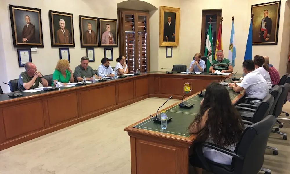 Sal&oacute;n de plenos de Nerva