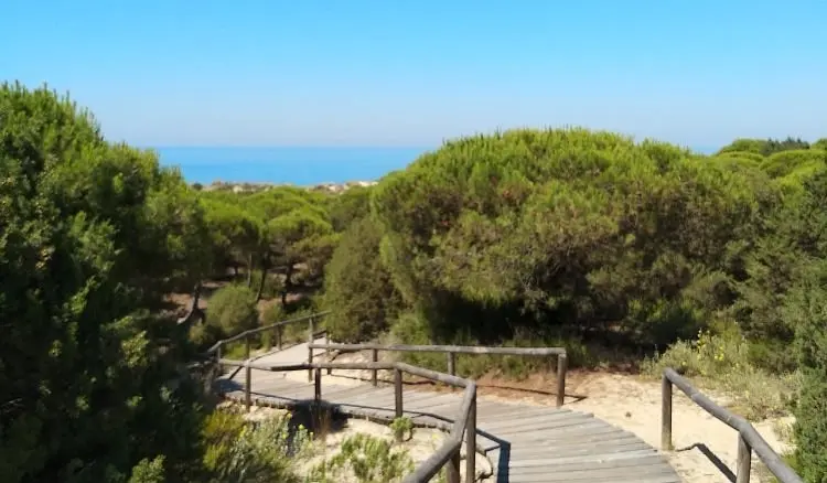 Playa de Los Enebrales