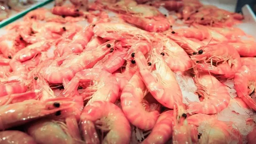 Gambas