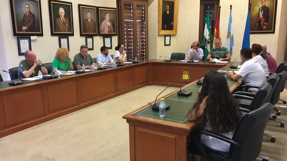 Sal&oacute;n de plenos de Nerva