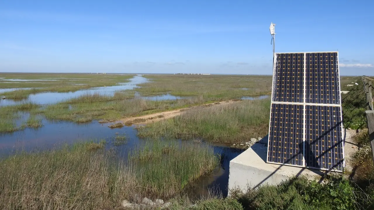 Uno de los sensores de la ICTS &ndash; Do&ntilde;ana en el Parque Nacional. // Estaci&oacute;n Biol&oacute;gica de Do&ntilde;ana.