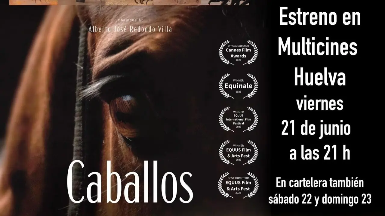 La pel&iacute;cula documental 'Caballos' llega a los cines Artesiste del Holea durante este fin de semana. Fuente: Colvet