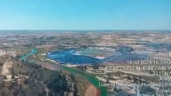 Superficie afectada. Fuente: Infoca.