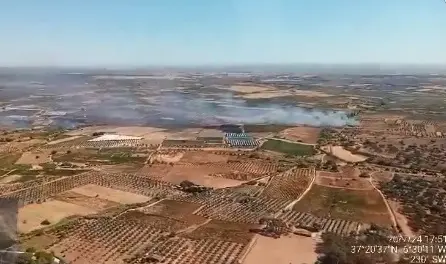 Incendio en Bollullos Par del Condado