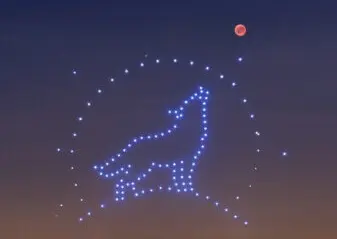 Baile de drones de Ximenez