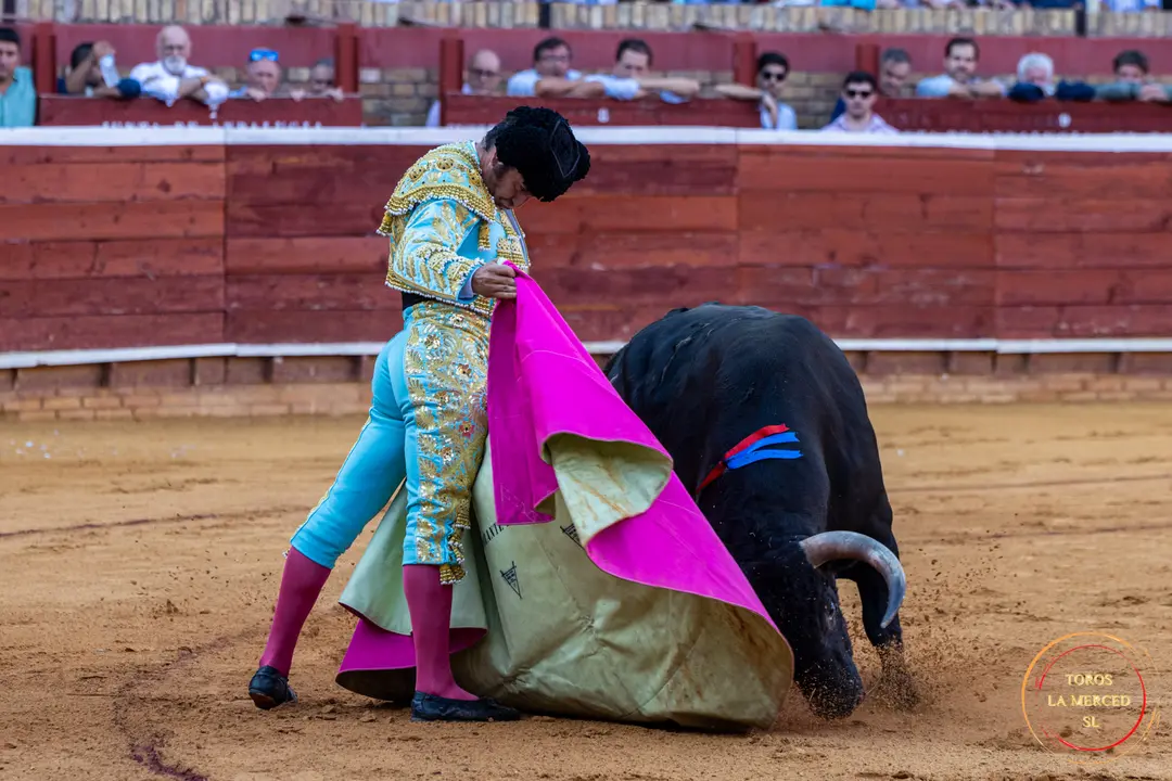 Cuarto d&iacute;a de toros 1