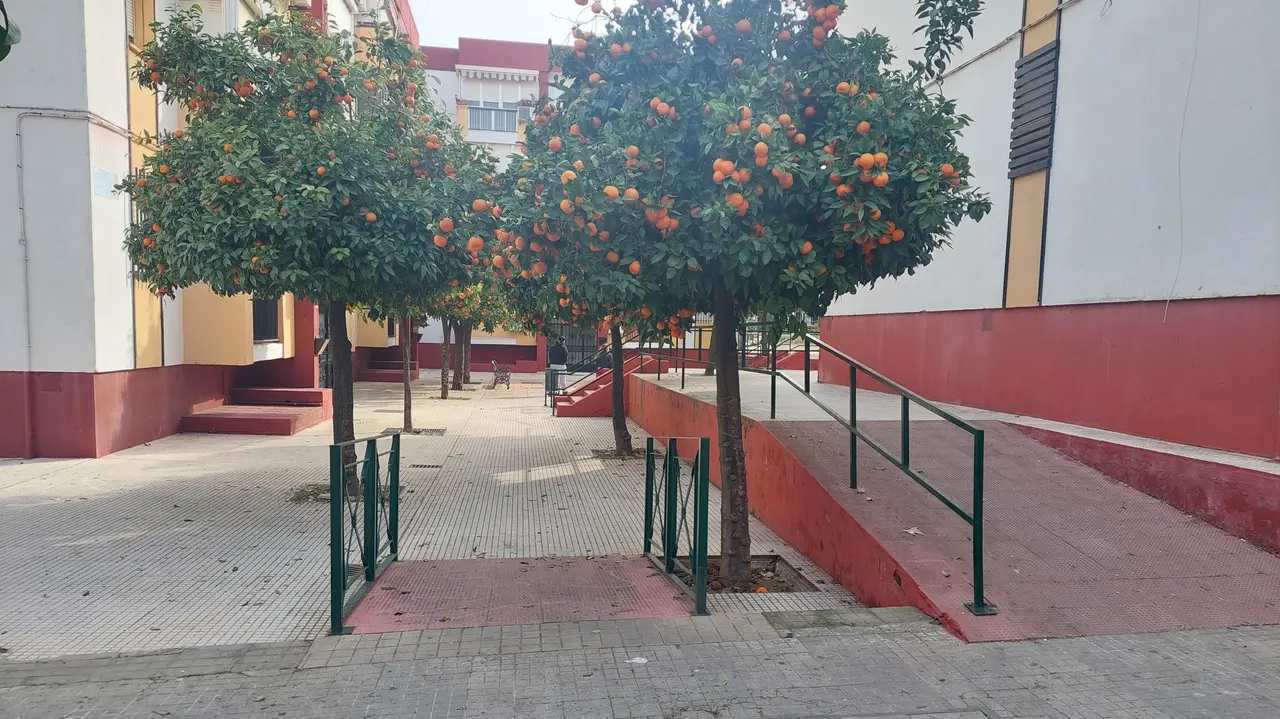Una de las rampas construidas por el Ayuntamiento de Huelva.
