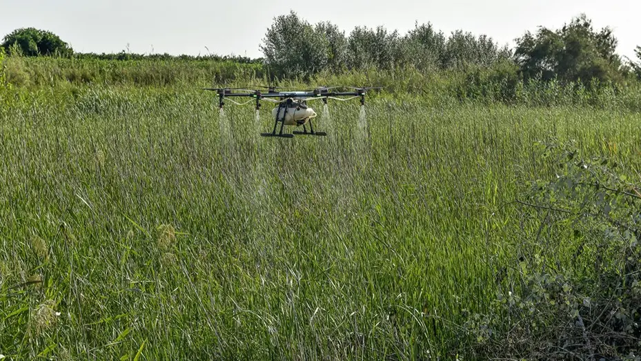 Un dron en plenas tareas de fumigaci&oacute;n. Foto: Junta de Andaluc&iacute;a.
