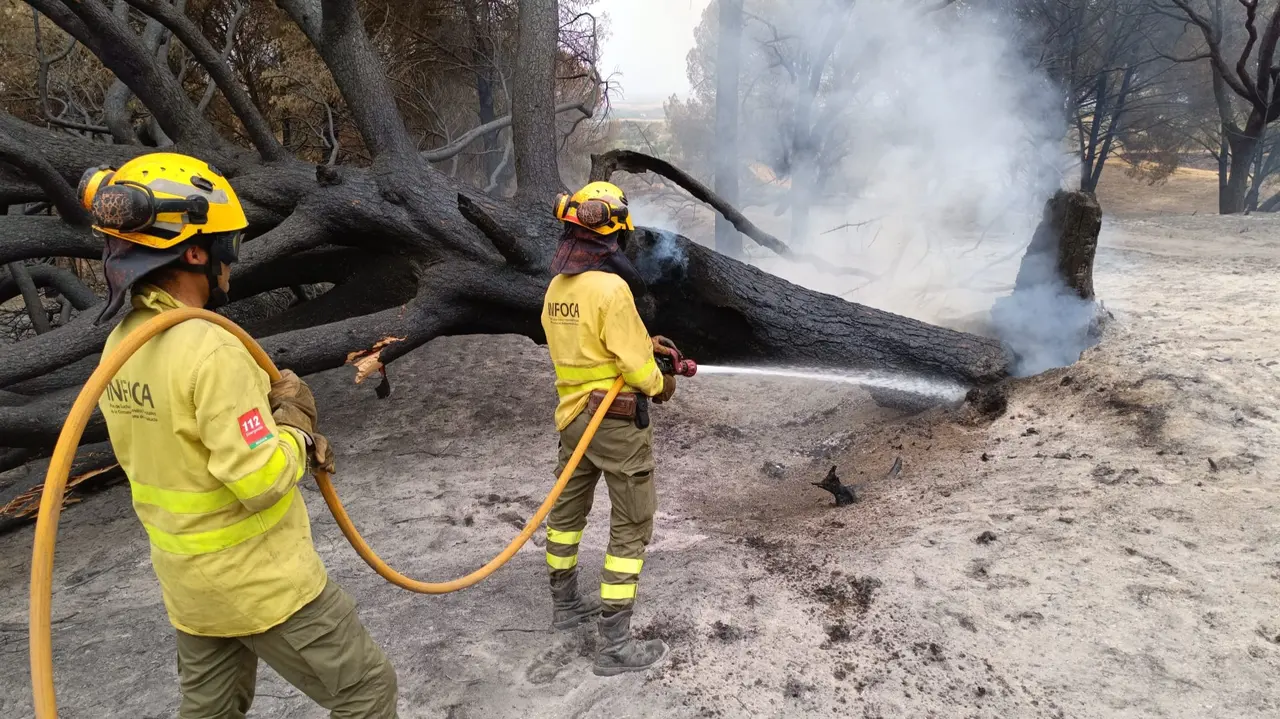 Bomberos del Infoca trabajando durante el incendio de 2023. Foto de archivo: Infoca.