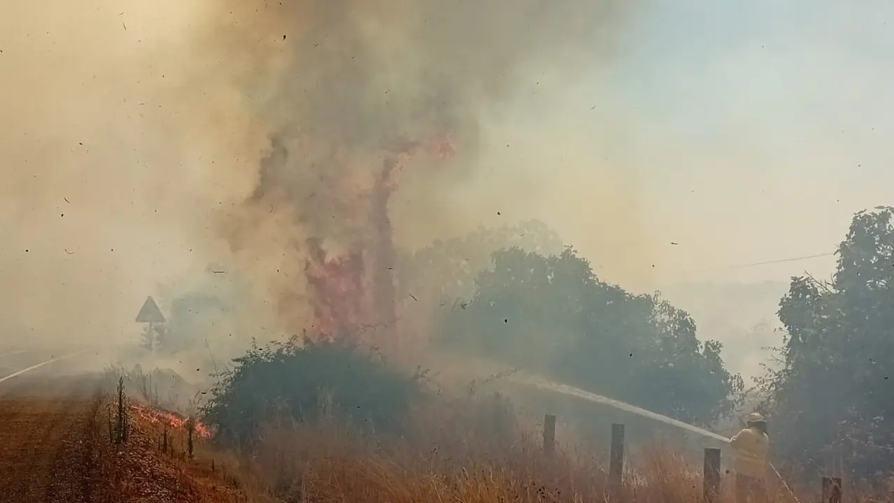 Imagen correspondiente a los primeros momentos de la extinci&oacute;n. Foto: Plan Infoca