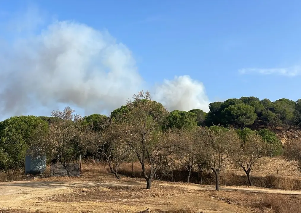 Incendio en Bonares