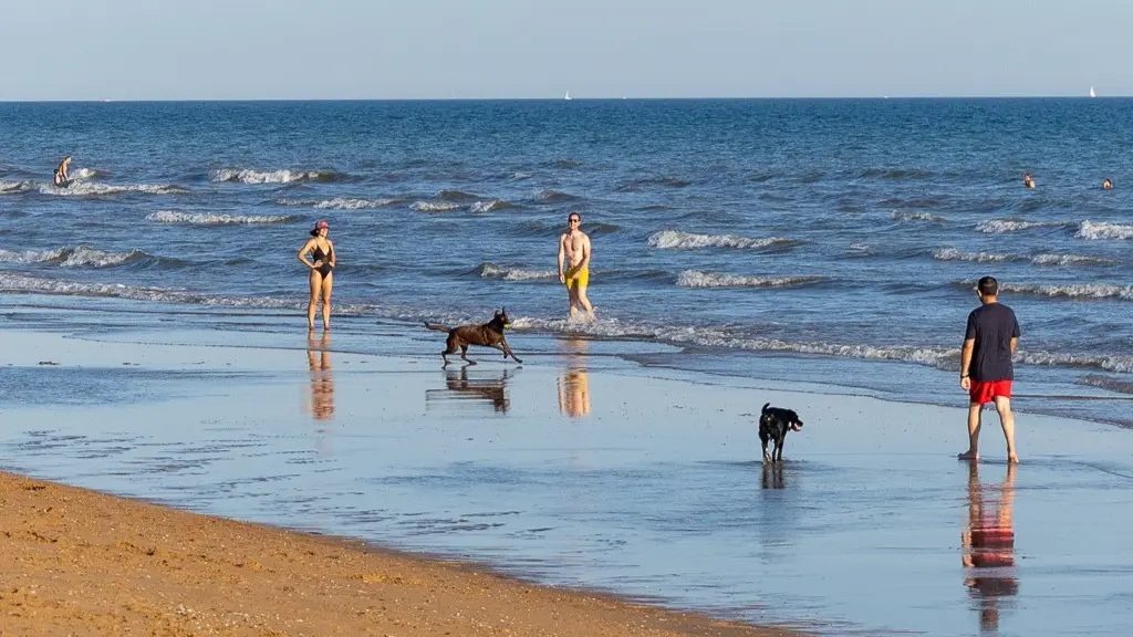 Playa canina del Espig&oacute;n. Foto: Fran &Aacute;lvarez