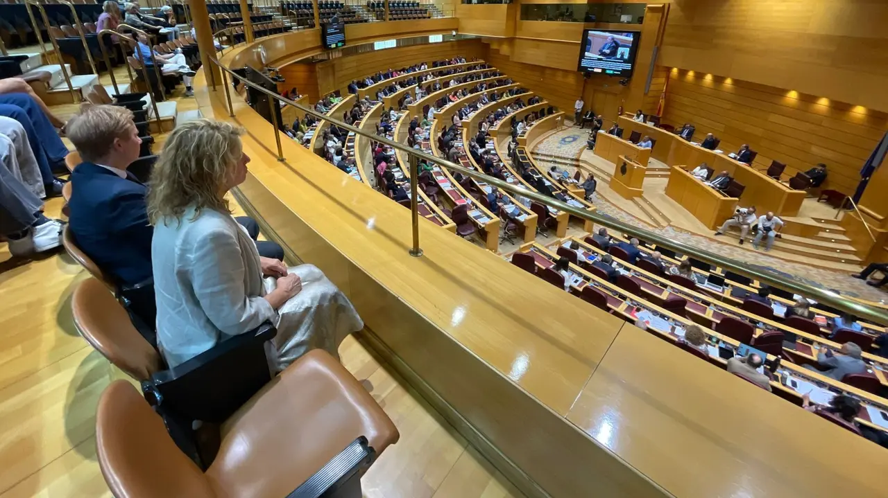 Pilar Miranda junto a Alfonso Castro en el Senado