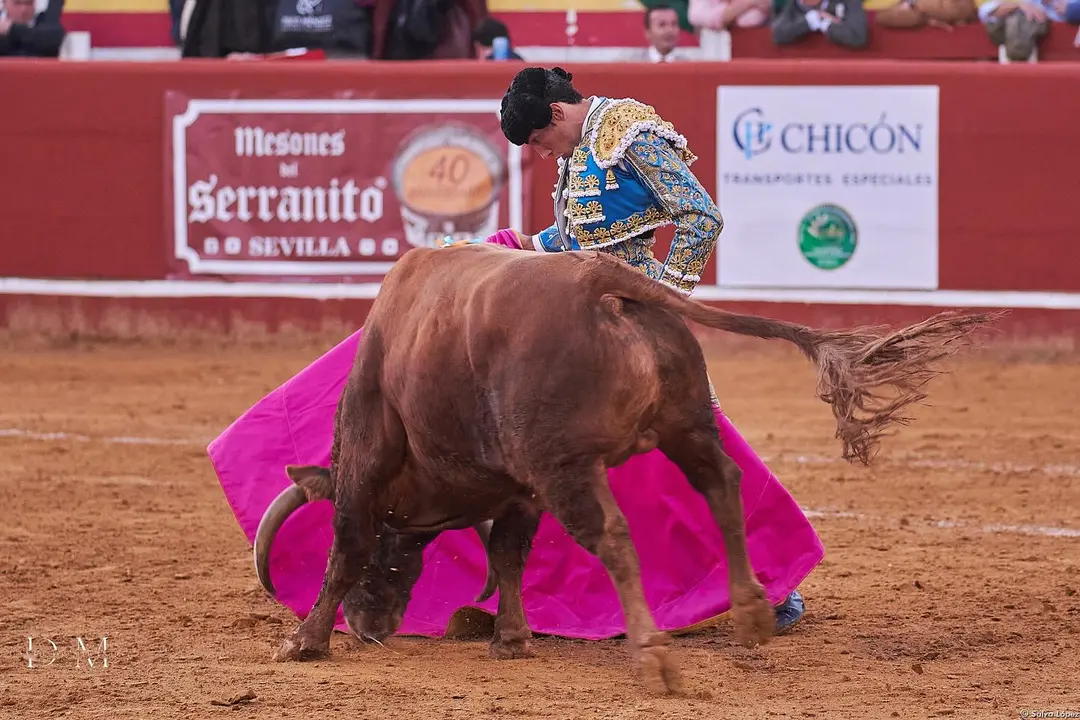 David de Miranda en Niebla