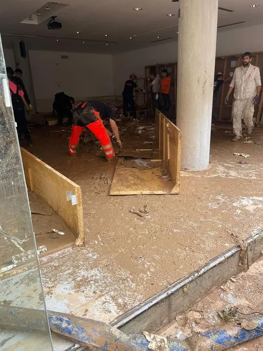 Imagen de WhatsApp 2024-11-06 a las 13.03.47_0724272f