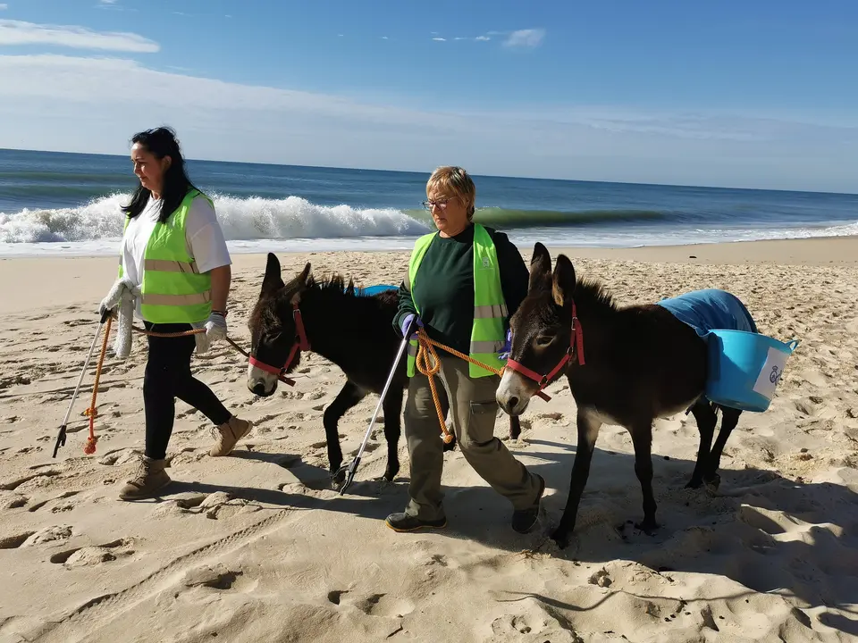 Mujeres por Do&ntilde;ana y los burritos limpiacostas