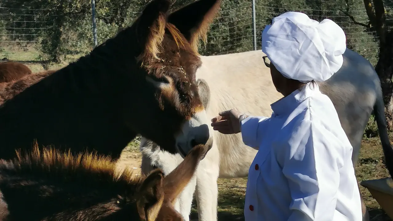 Cristina da de comer a los burros | Asociaci&oacute;n El Burrito Feliz-Mujeres por Do&ntilde;ana