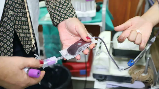 Donaci&oacute;n de sangre
