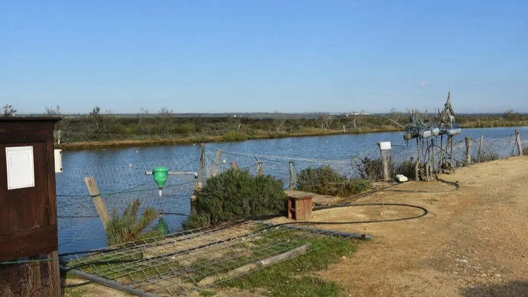 Salinas del Astur de Punta Umbr&iacute;a. Fuente: Ayuntamiento de Punta Umbr&iacute;a