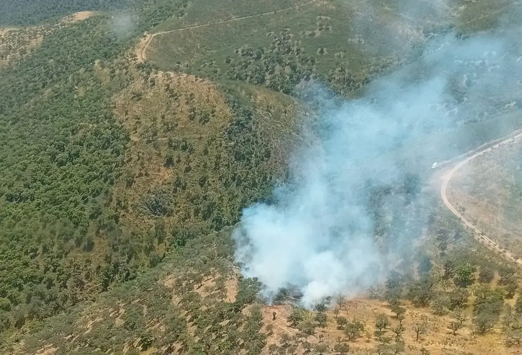 Incendio en Cumbres de San Bartolom&eacute;