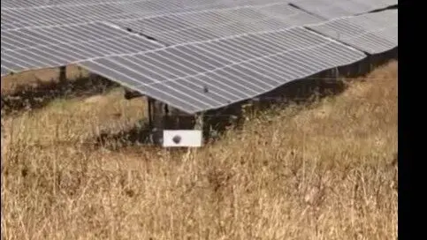 Placas solaes en Do&ntilde;ana. Fuente: Tiktok de Asociaci&oacute;n el burrito feliz