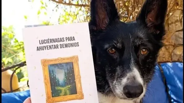 Fuente: Facebook de F&aacute;tima Javier