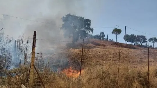 Fuente: Infoca