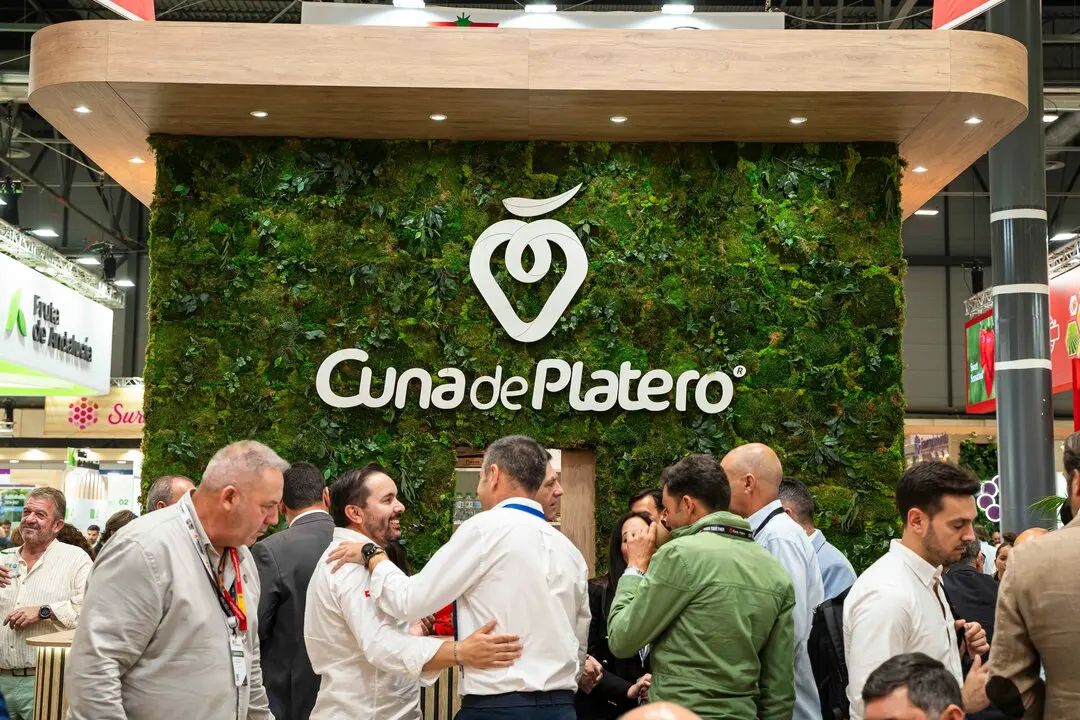 Fuente: Cuna de Platero.