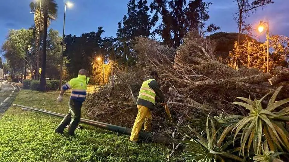 As&iacute; trabaja Ayamonte tras los numerosos desperfectos de la borrasca Claudia. Fuente: Ayto. Ayamonte