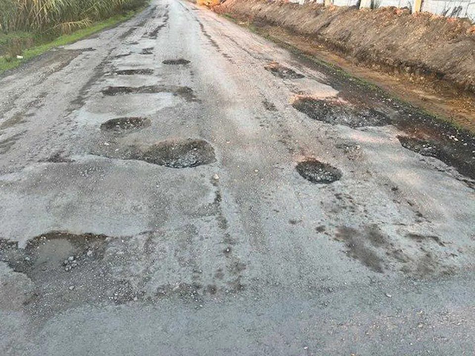 Fuente: Ayuntamiento de Punta Umbr&iacute;a