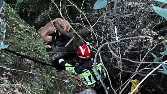 Fuente: Facebook Consorcio Provincial de Bomberos