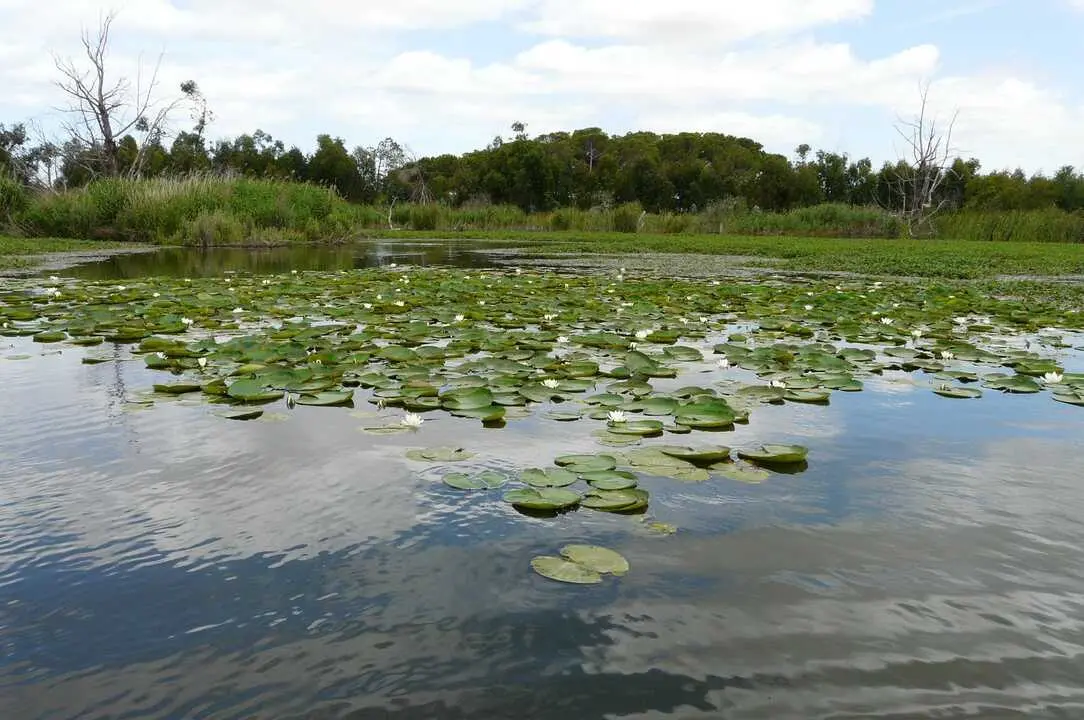 As&iacute; se encuentra la Laguna de las Madres