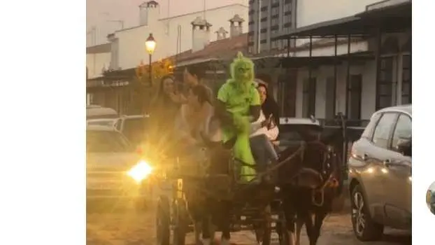EL Grinch llega al Roc&iacute;o por Navidad. Fuente: Tiktok de Juanpedroo03