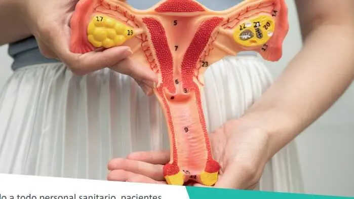 Fuente: Quir&oacute;nsalud Huelva