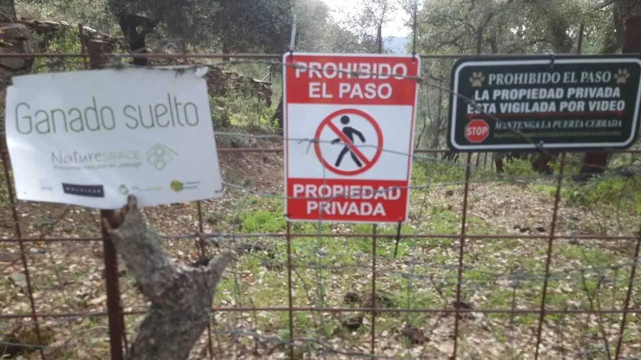 finca vallada y usurpada en el camino Jabugo a El Quejigo
