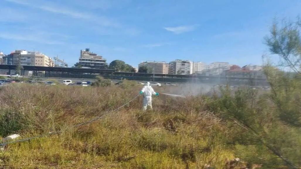 Fuente: Diputaci&oacute;n de Huelva
