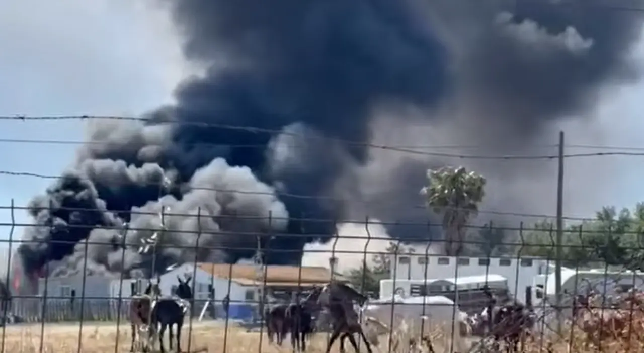 Incendio en el picadero El Pinar