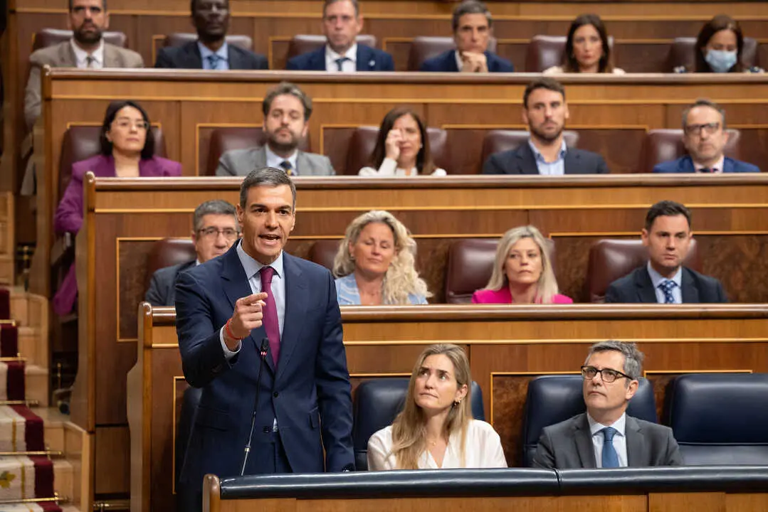 S&aacute;nchez comparece en el Congreso de los Diputados
