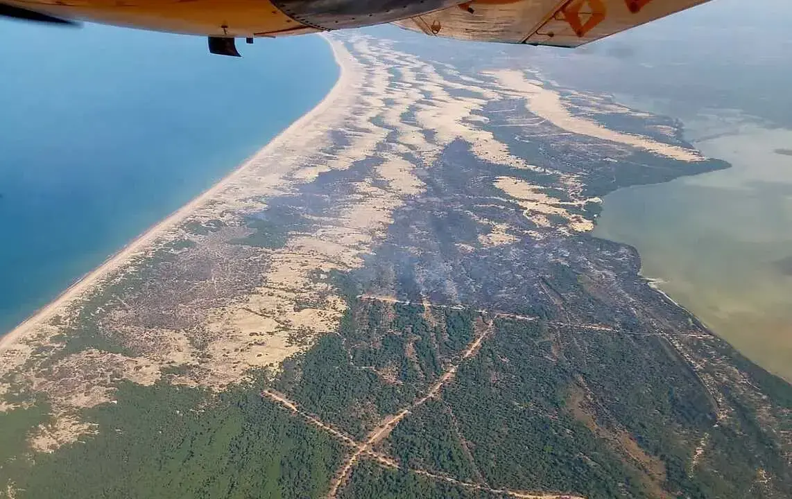 Imagen del incendio de Almonte