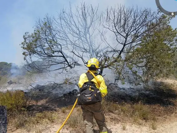 Un bombero se emplea a fondo contra el incendio de Do&ntilde;ana