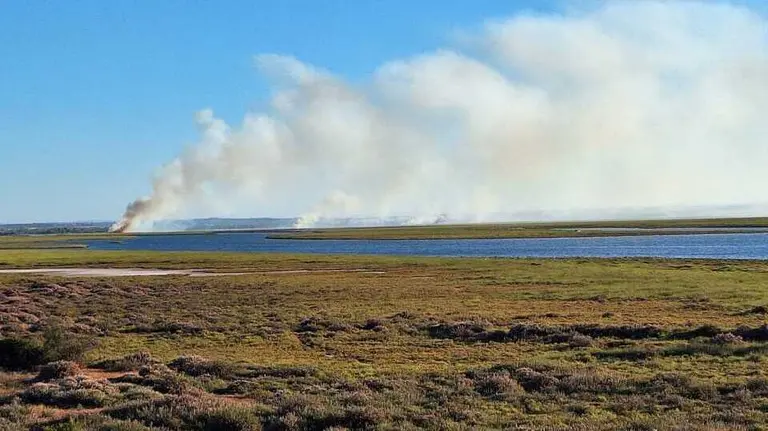 Asi se encuentra el incendio de Gibrale&oacute;n. Fuente: X INFOCA