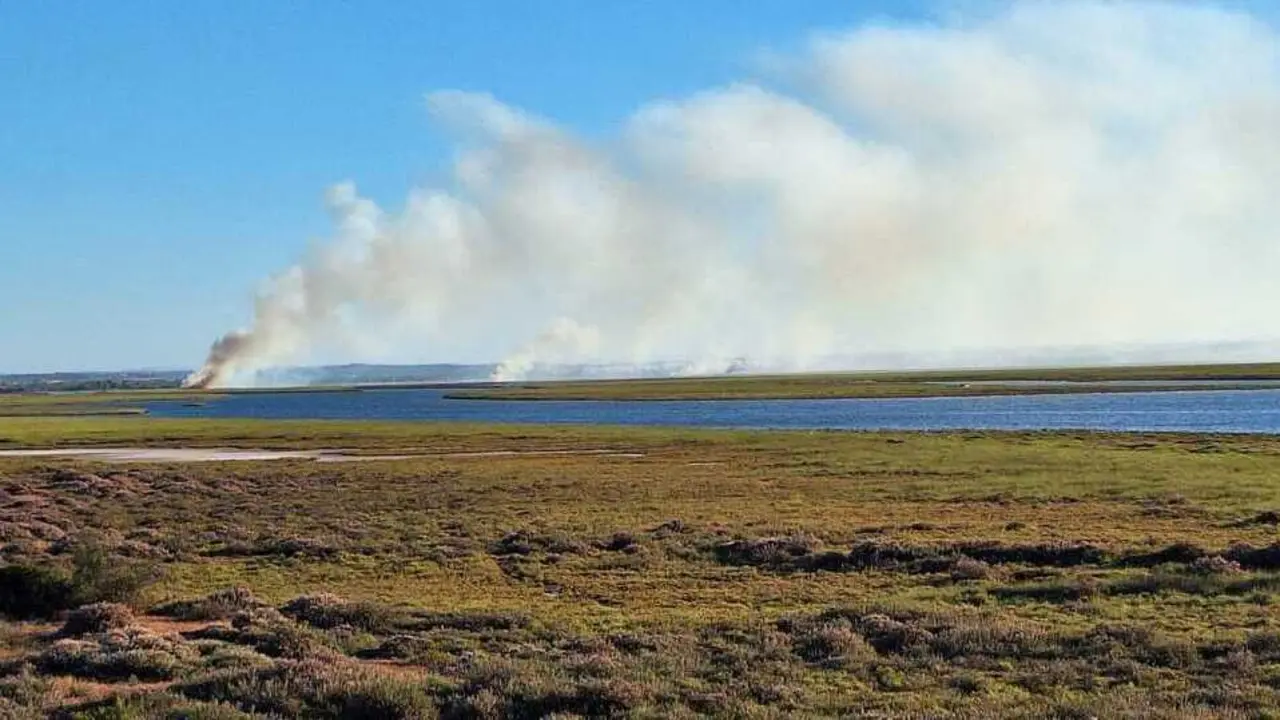 Asi se encuentra el incendio de Gibrale&oacute;n. Fuente: X INFOCA