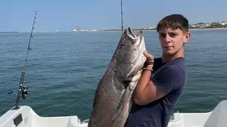 Impresionante corvina. Foto: Pesca Huelva