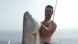 Impresionante corvina de 42 kg capturada en Isla Cristina. Foto: Pesca Huelva