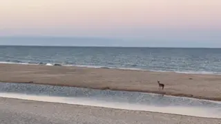 Amanecer en Matalasca&ntilde;as
